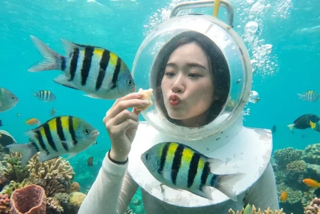 Wide underwater shot of vibrant coral gardens and marine life at a Bali seawalker dive site.