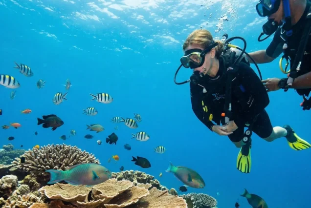 Two scuba divers explore vibrant coral reefs surrounded by colorful fish in clear blue water. The scene conveys adventure and excitement.
