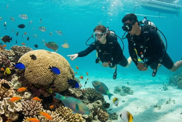 Two scuba divers explore vibrant coral reefs with colorful fish swimming around them. The clear blue water and bright marine life create a lively scene.