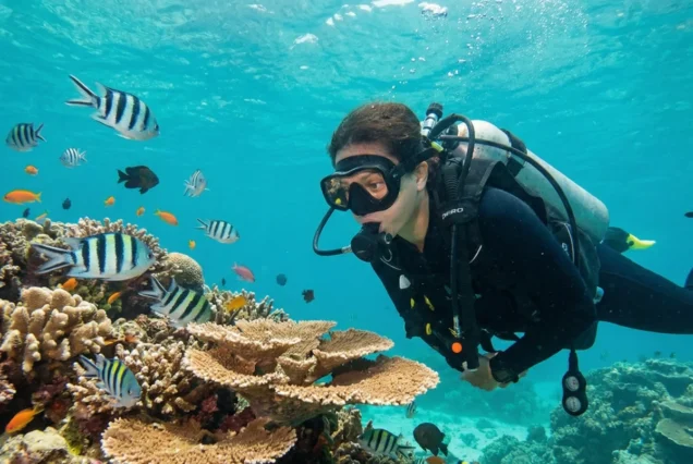 A scuba diver swims near a vibrant coral reef, surrounded by colorful fish in clear blue water. The scene conveys a sense of tranquility and wonder.
