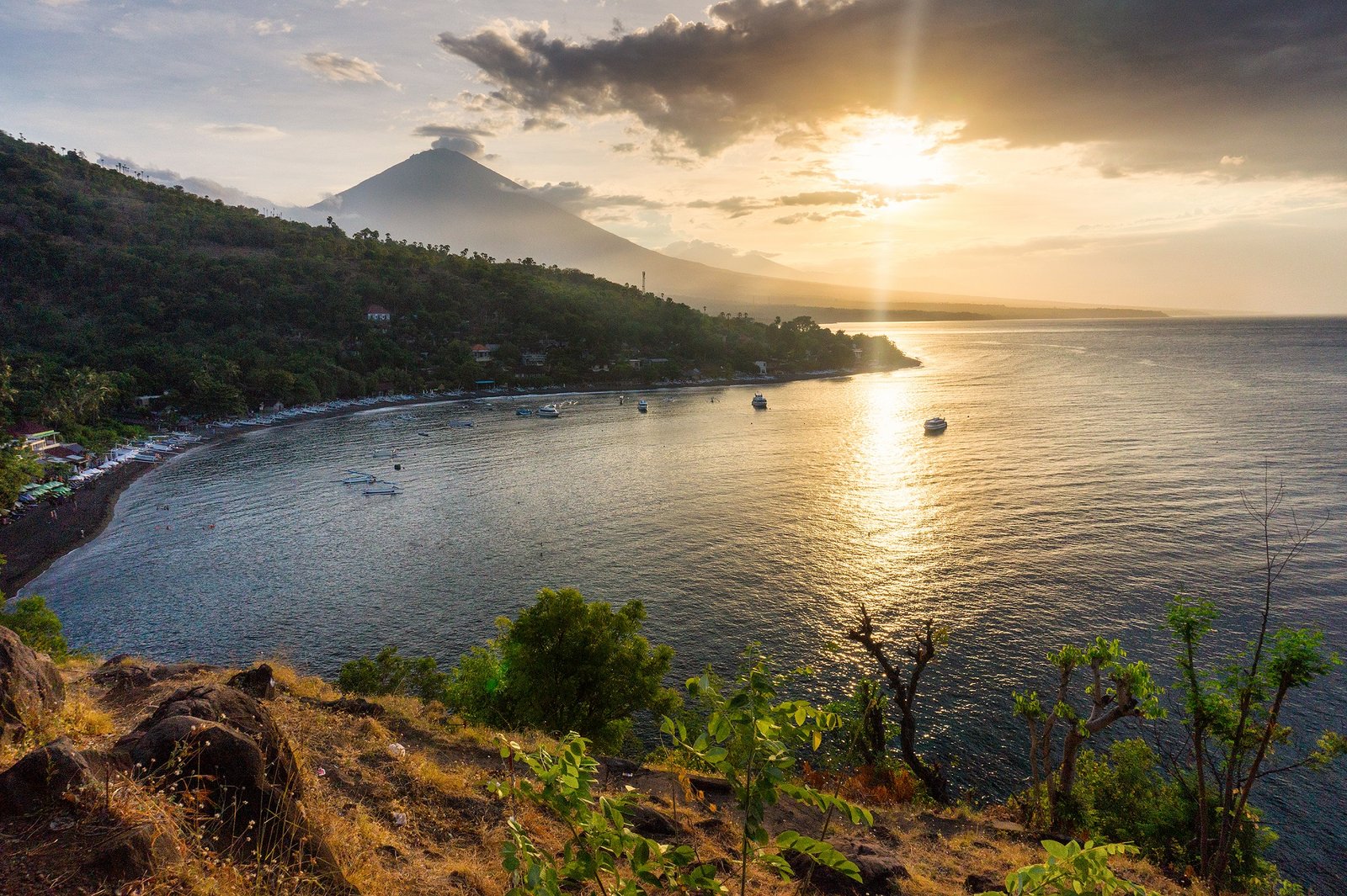 Amed